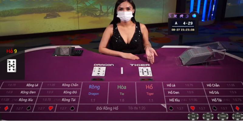 Đặt cược nhanh chóng chơi Rồng Hổ chỉ sau 03 bước