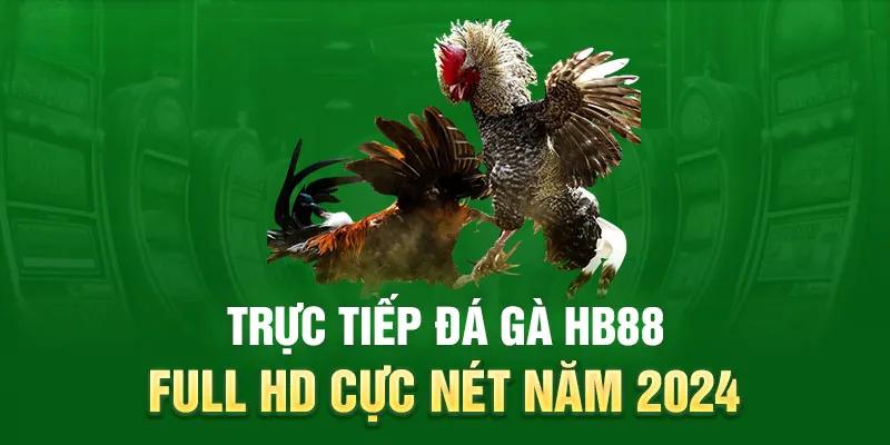 Game đá gà cựa dao Philippines là gì?