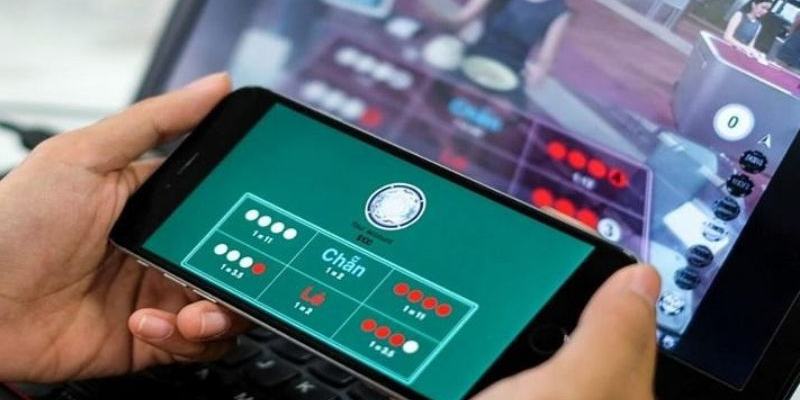 Tổng hợp các loại cầu xóc đĩa phổ biến nhất